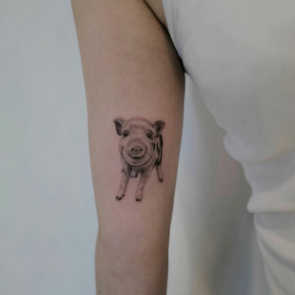 Realistic Baby Pig Tattoo