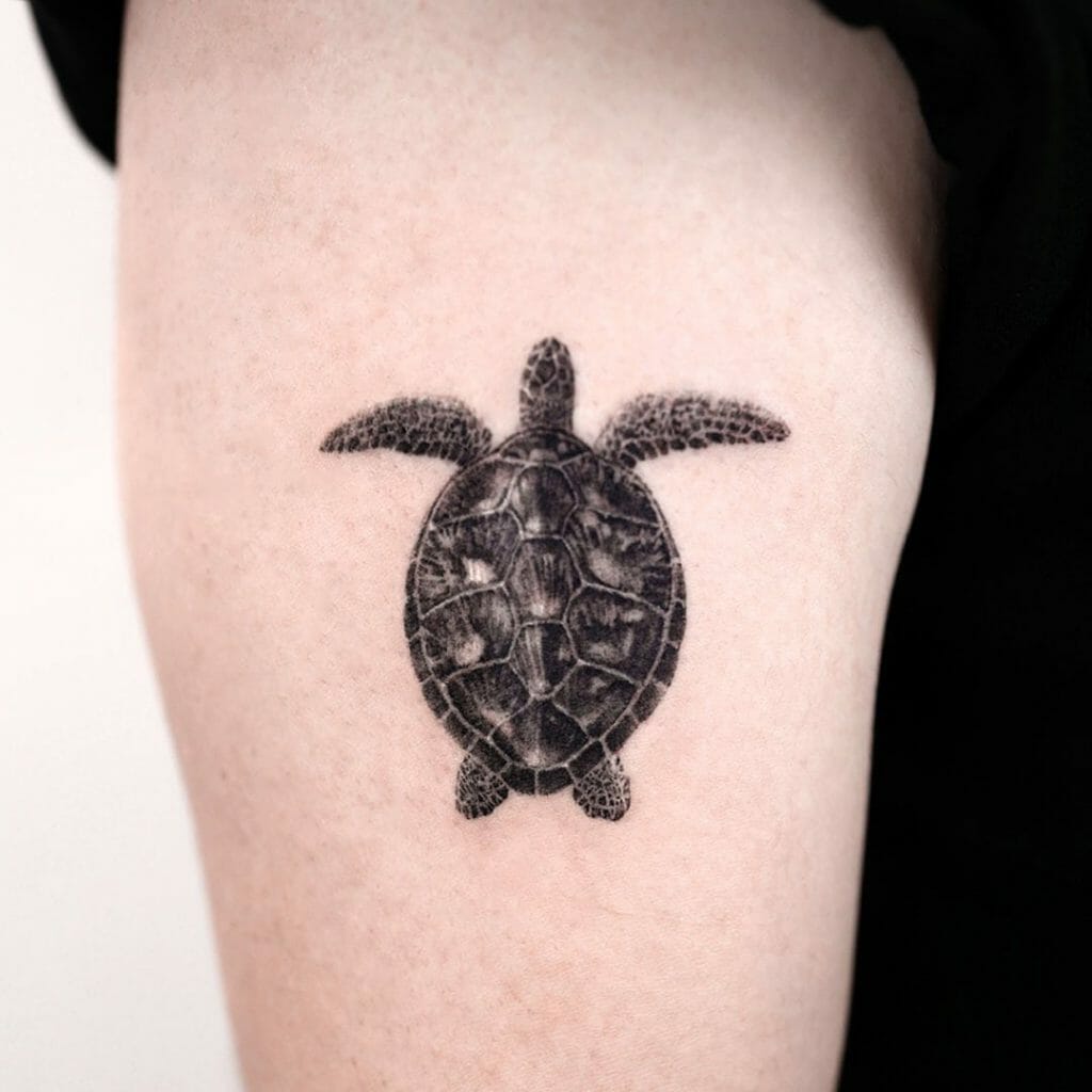 Sea Turtle Tattoo