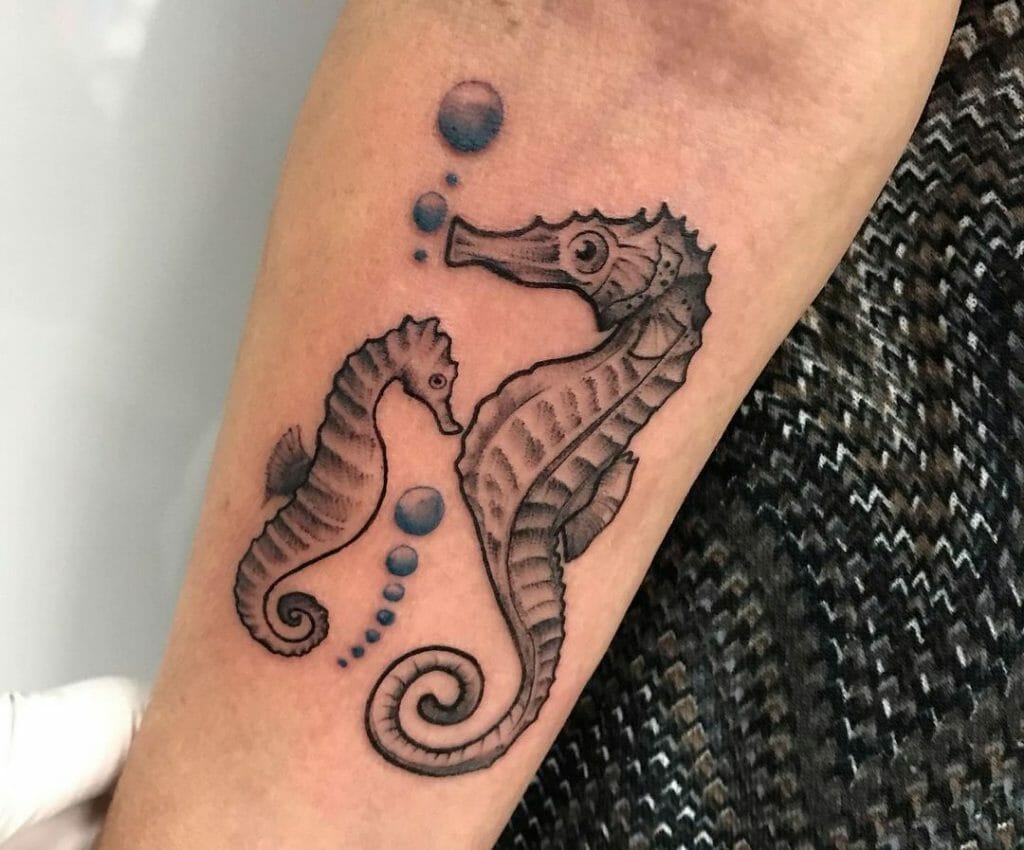 Seahorse Tattoos