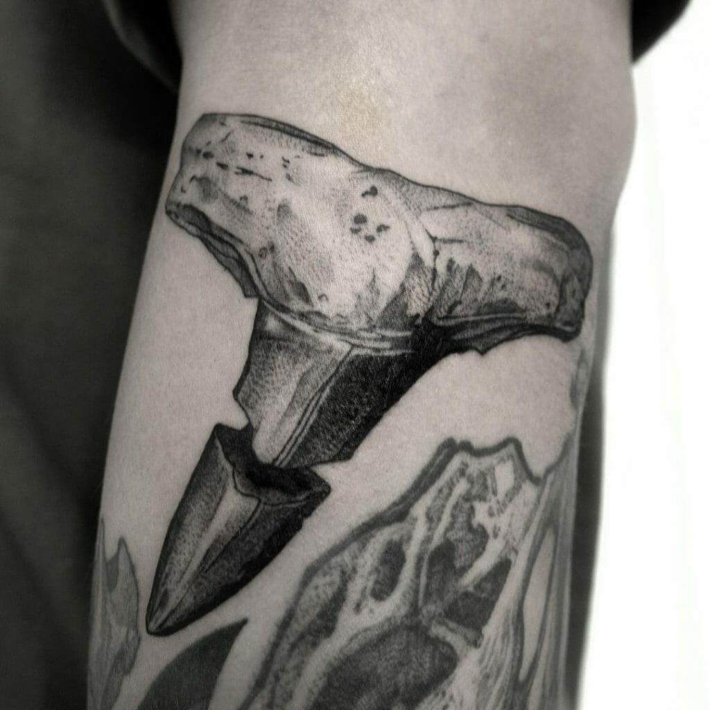 Shark Tooth Fossilised Tattoo
