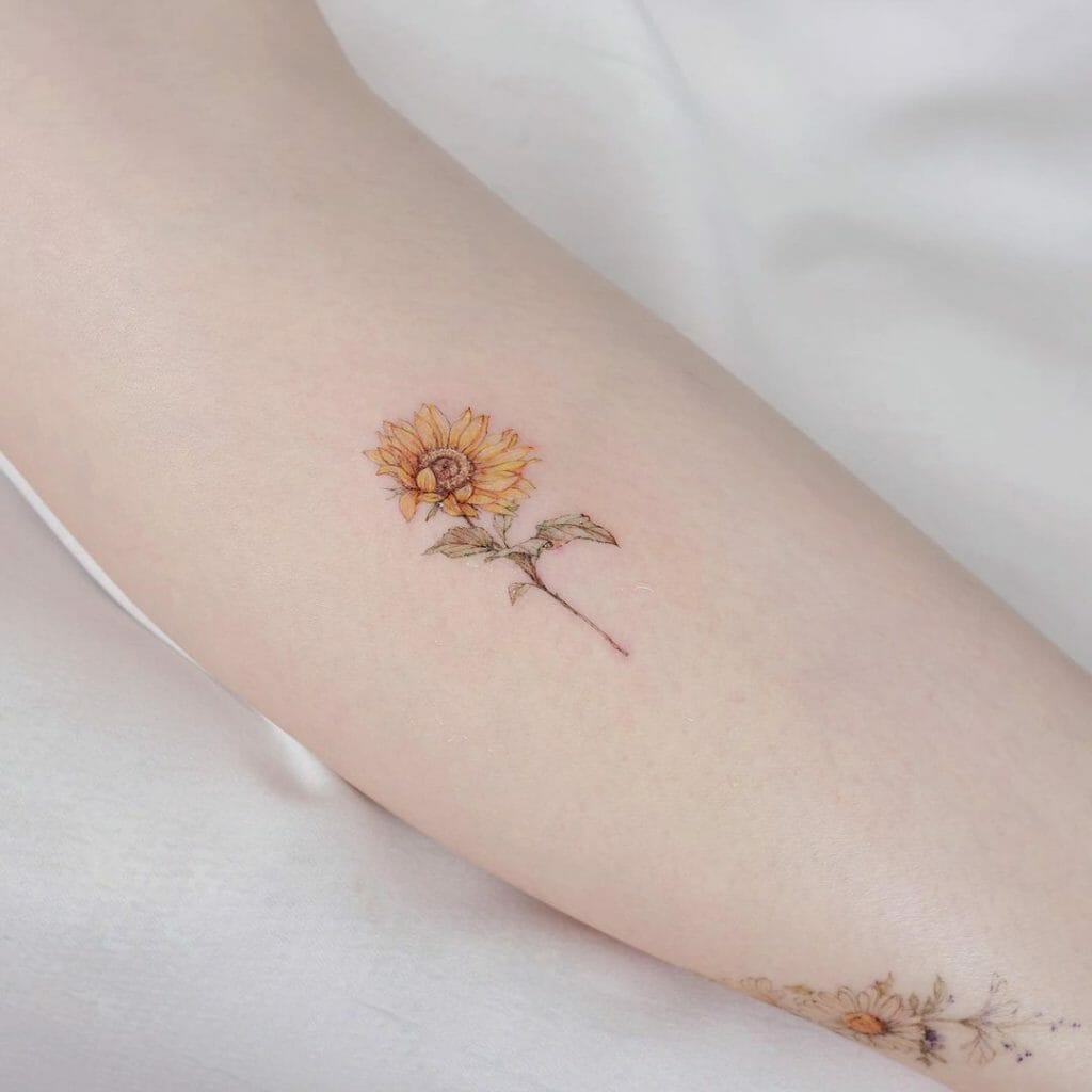 Sunflowers And Daisy Tattoo Ideas