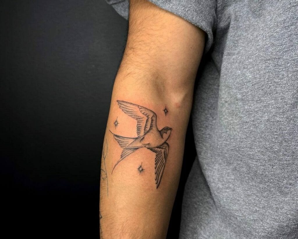 Swallow Bird Tattoos