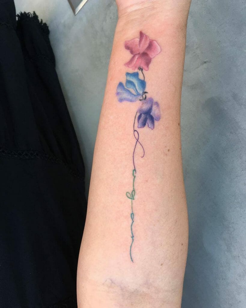 Sweet Pea Flower Tattoos With Lettering