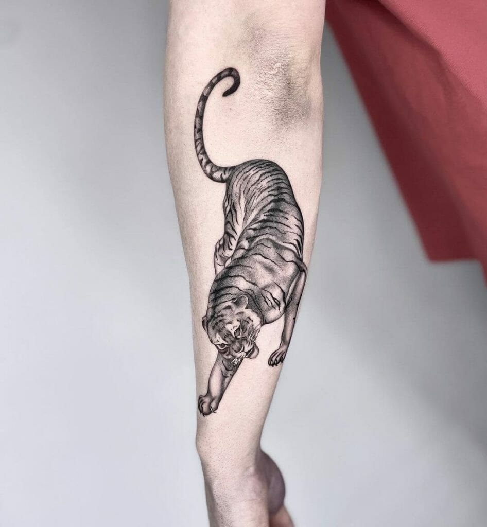 Tiger Back Forearm Tattoo For Men