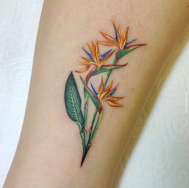 Tiny And Graceful Aquarius Flower Tattoos