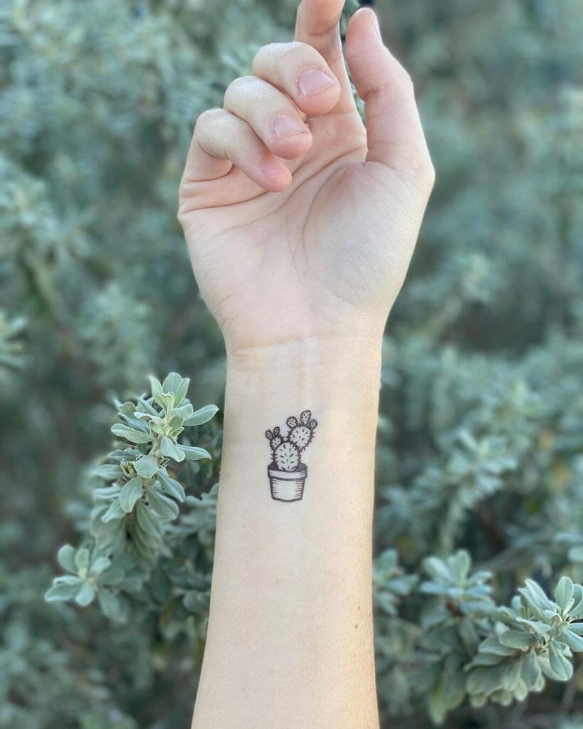 Tiny Succulent Tattoo