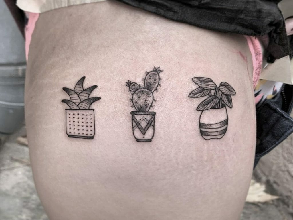 Tiny Succulent Tattoos