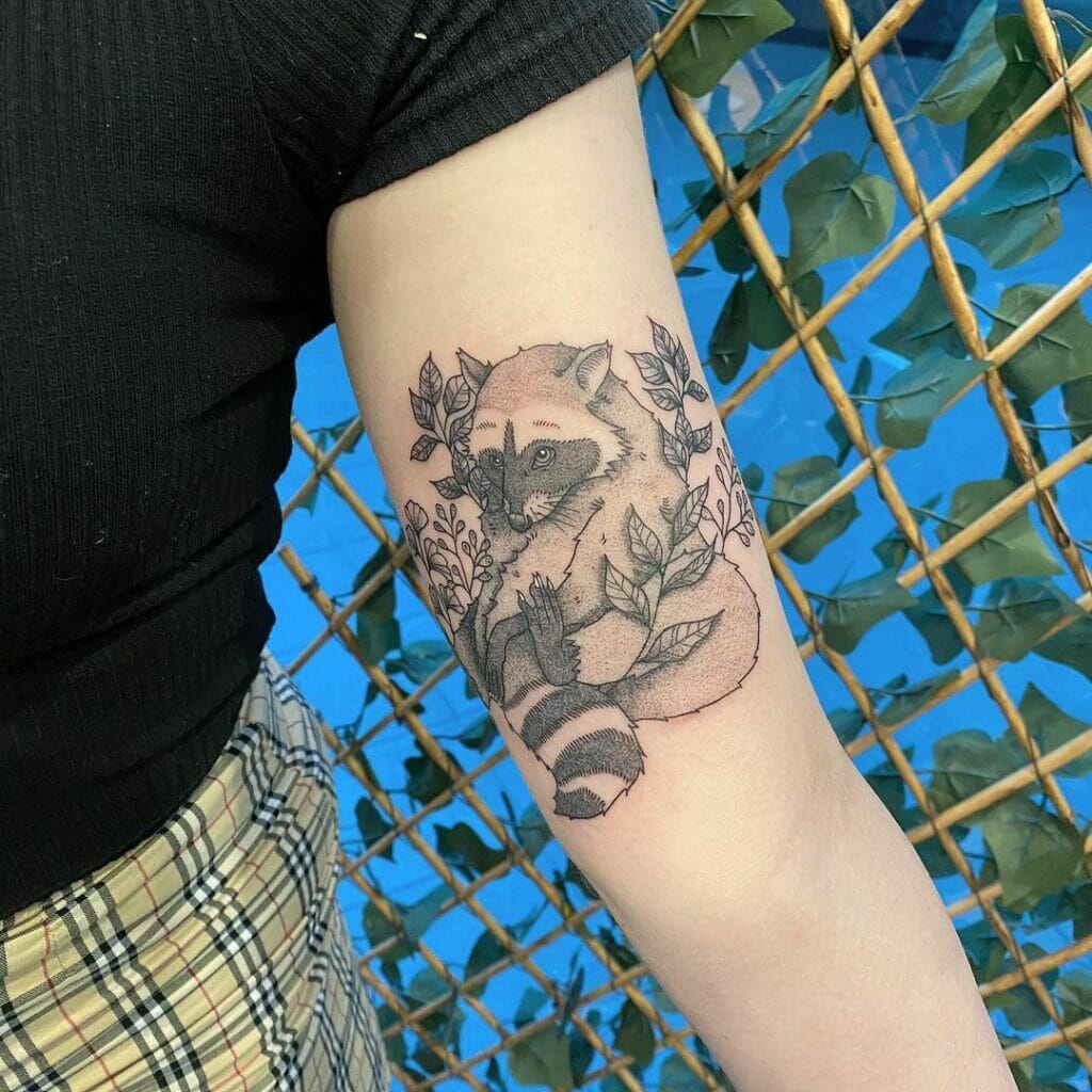 Traditional Raccoon Tattoo Designs For Your Arms