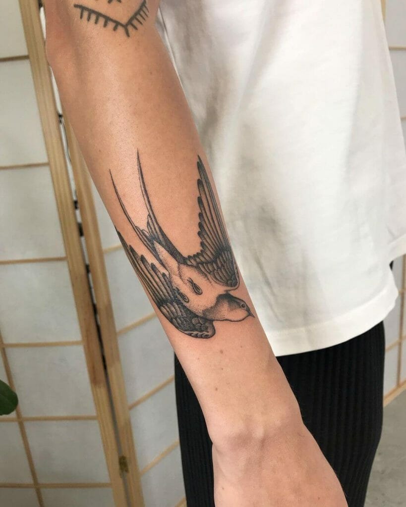 Traditional Swallow Bird Tattoo Ideas