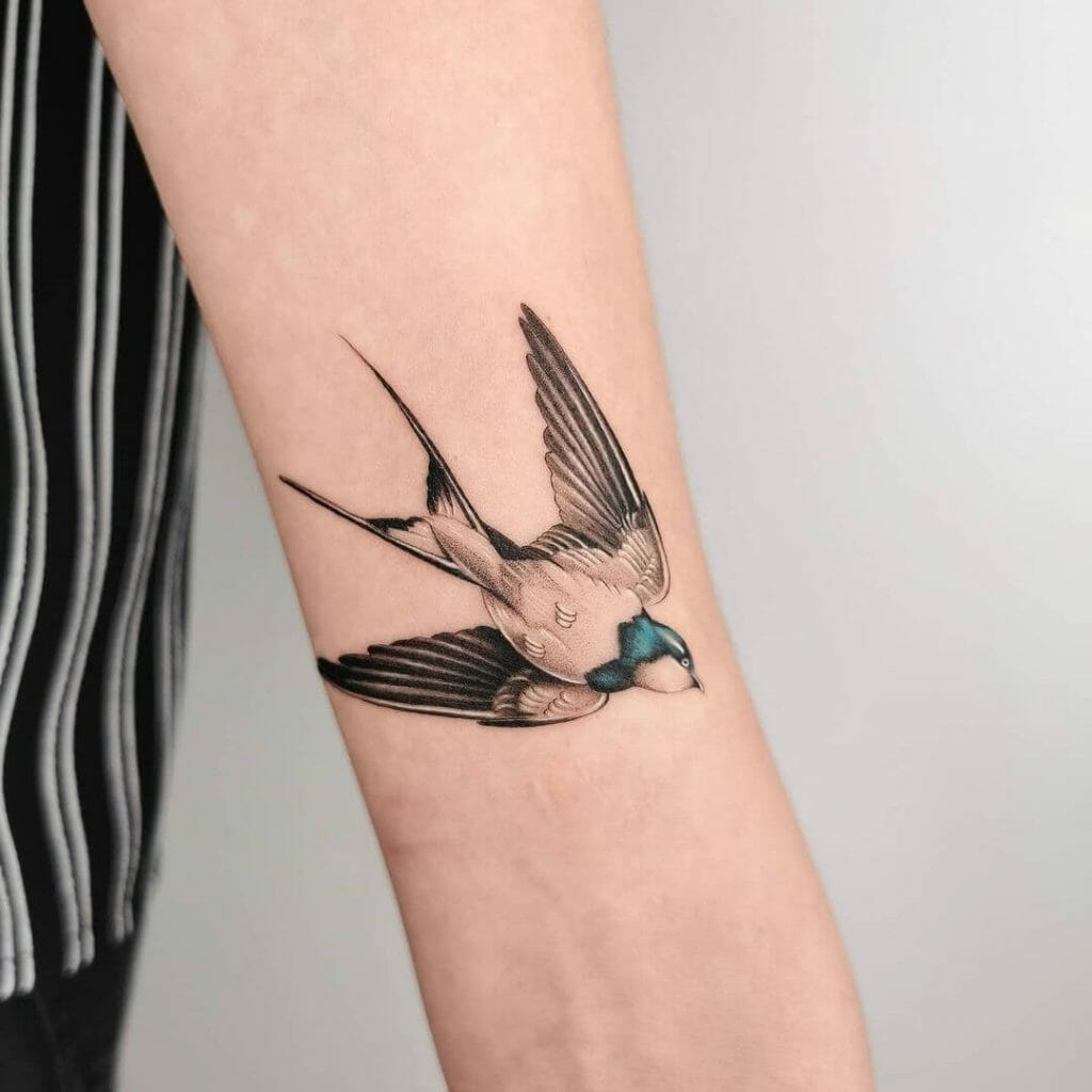 Traditional Swallow Bird Tattoos Ideas 