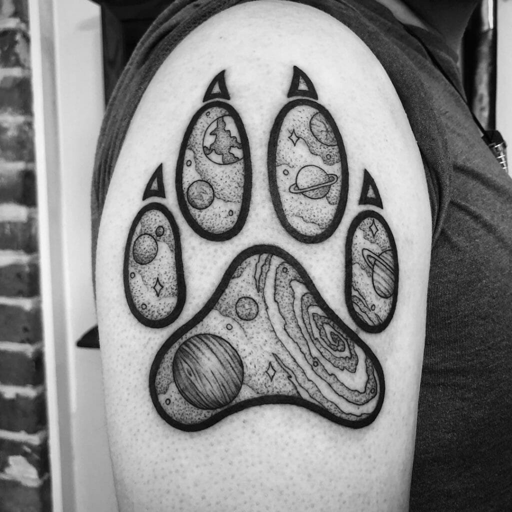 Universe In A Paw