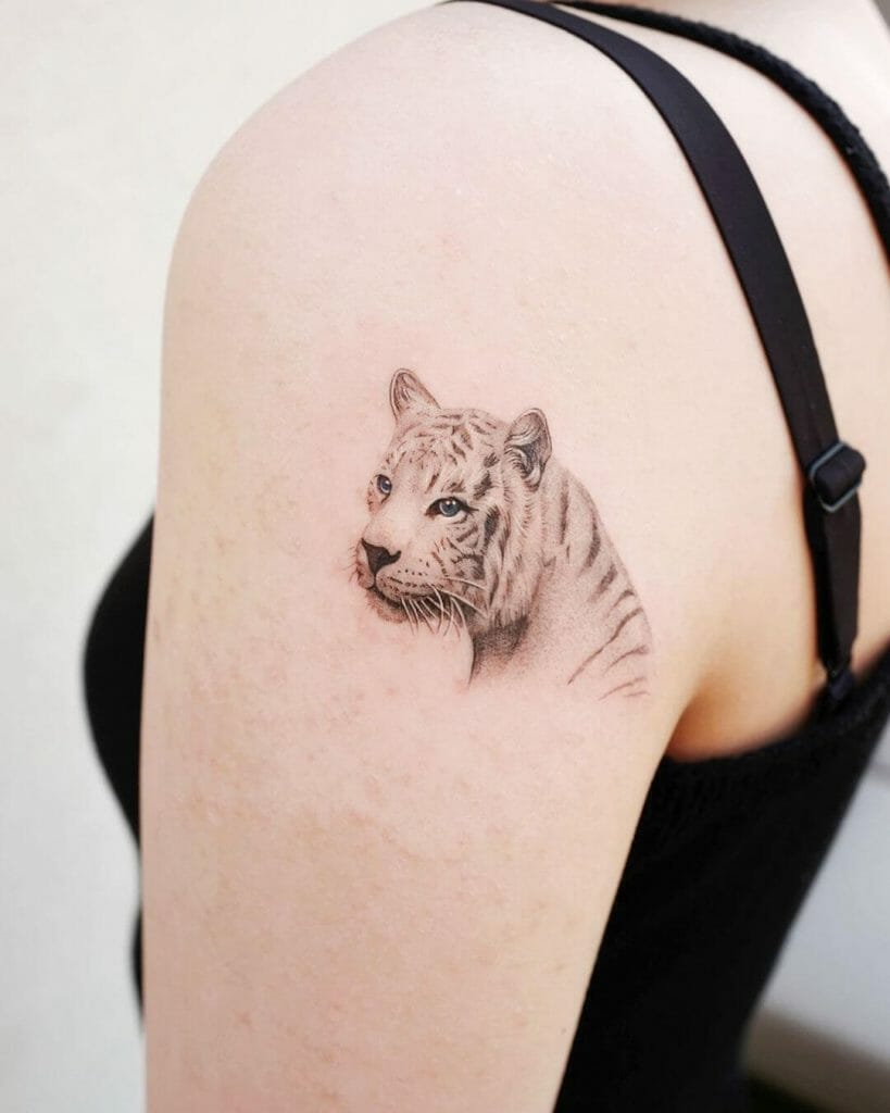 White Tiger tattoos With Black Stripes