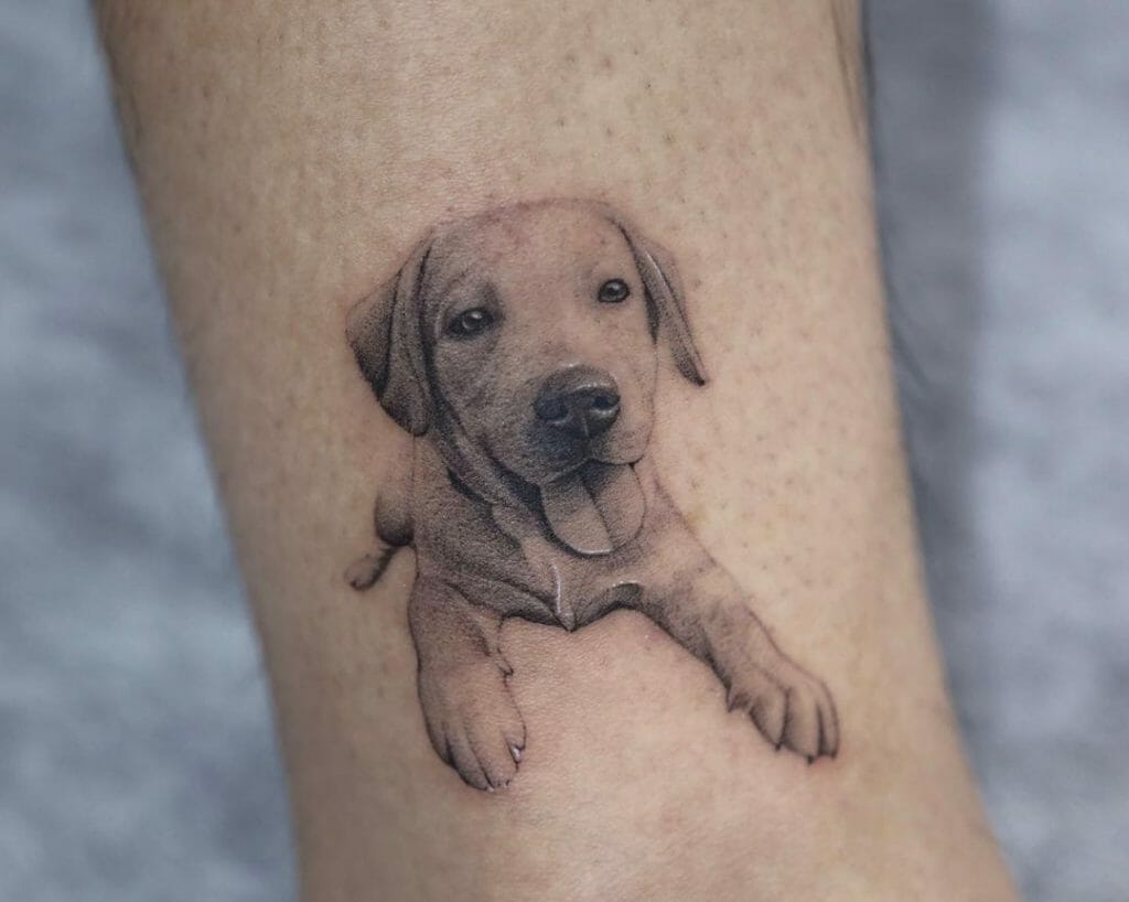 Baby Labrador Tattoo