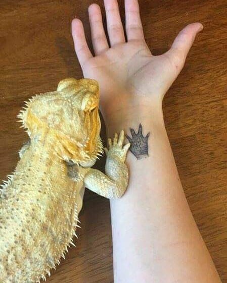 Bearded Dragon Footprint Tattoo