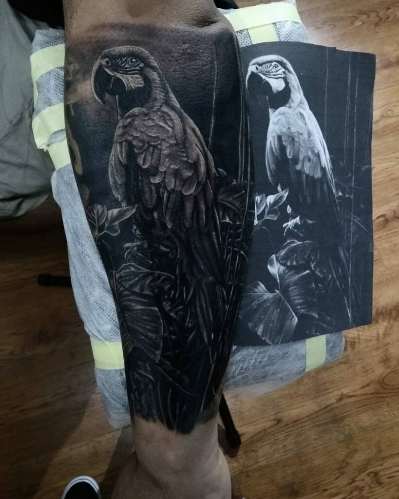 Black And Grey Parrot Tattoo Design