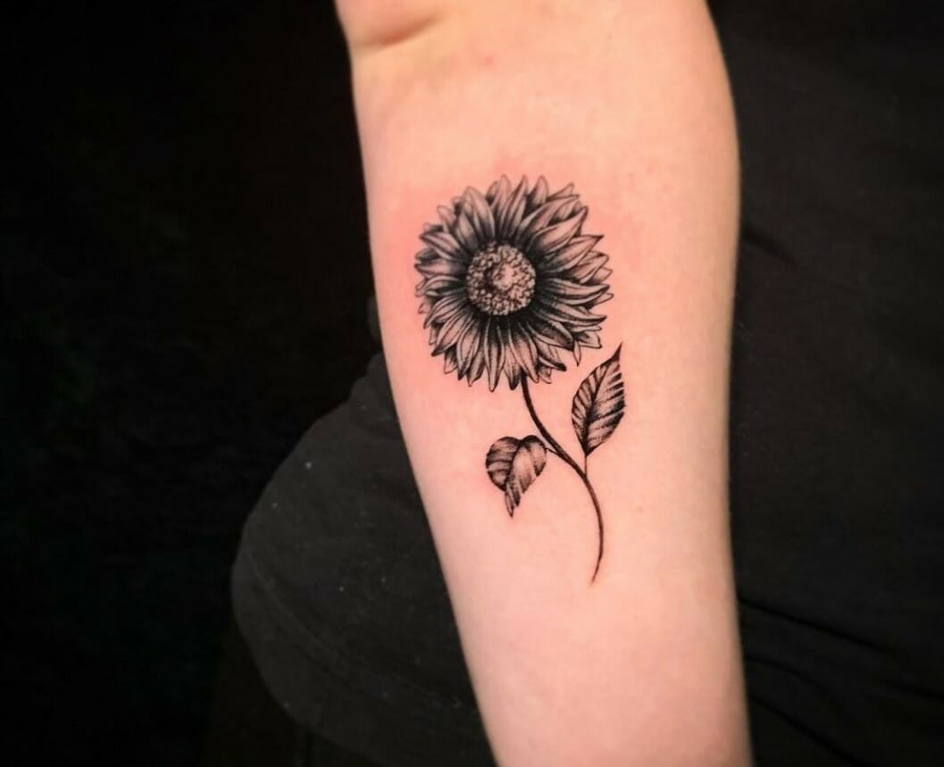 White Mountain Tattoo and Body Piercing Studio  Sunflowers from today by  Steve Gillespie sunflowertattoosunflower colortattoo girltattoo tattoo  tattoos tattooed tattooedgirls tattooist tattooing  inkinkedinkedgirls inking armtattoo 