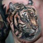 Chest Tiger Tattoos 1 Outsons