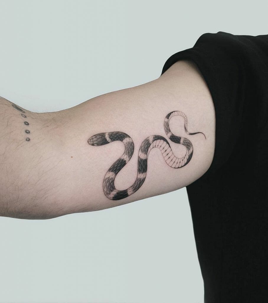 Coral Snake Tattoo
