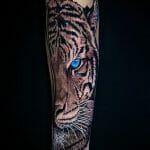 Half Tiger Face Tattoos