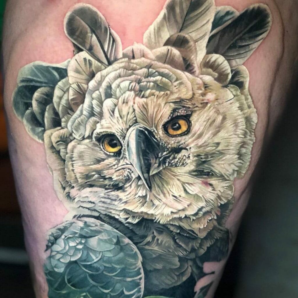 Harpy Eagle Tattoo