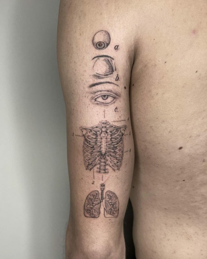 Human Anatomy Tattoo