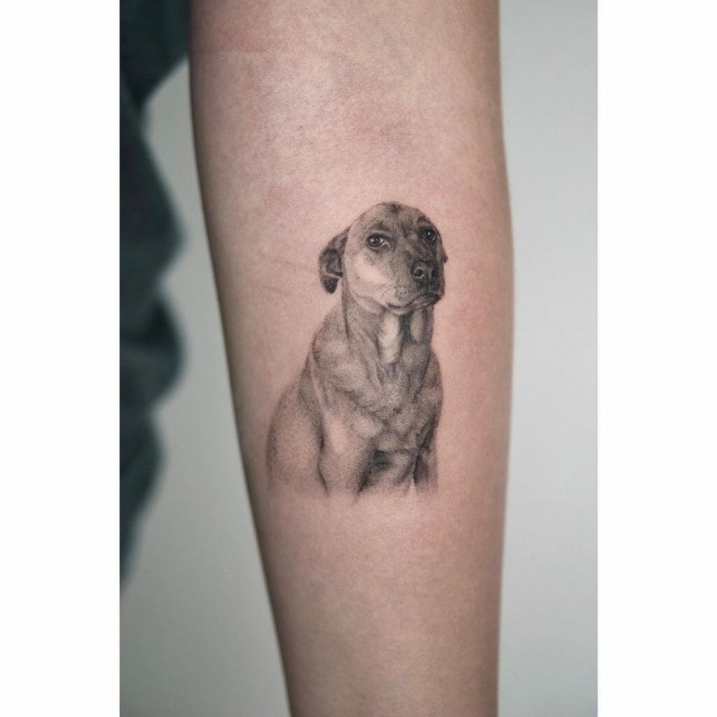 Labrador Tattoo Ideas