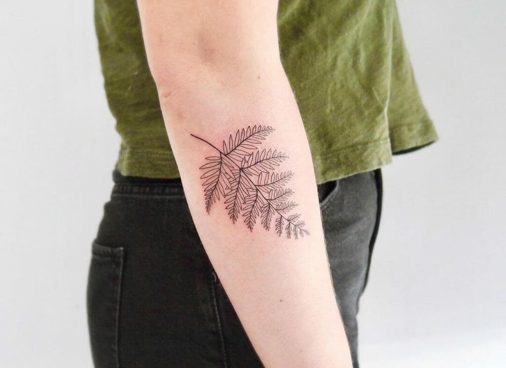 Linework Fern Vine Tattoos