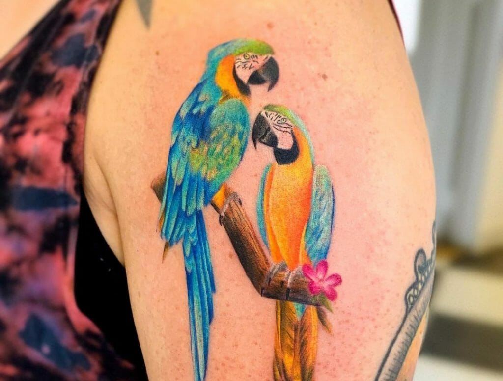 Macaw Tattoo Ideas