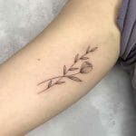 Minimalist Plant Tattoos