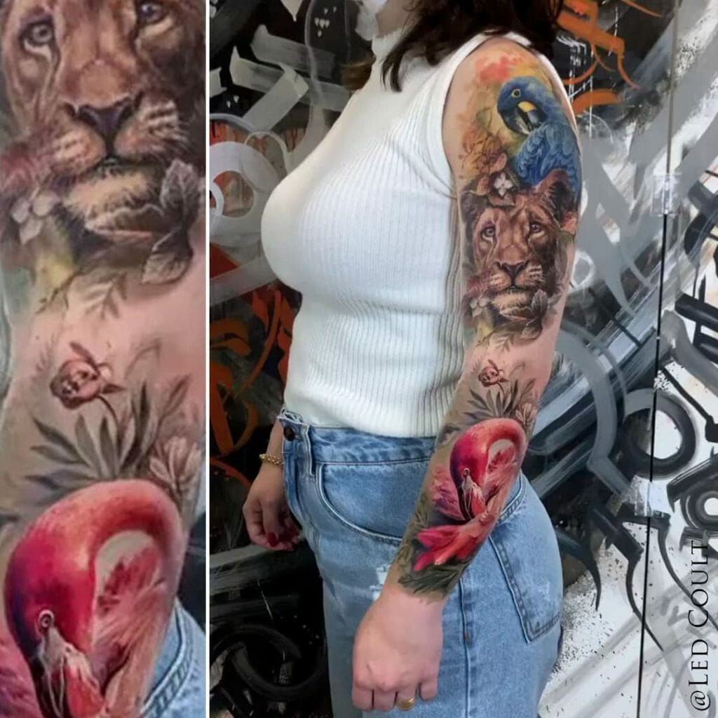 Parrot, Flamingo And A Lion Tattoo