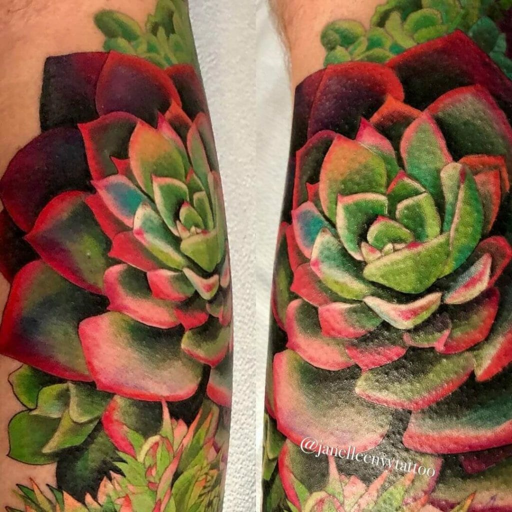 Traditional Succulent Tattoo