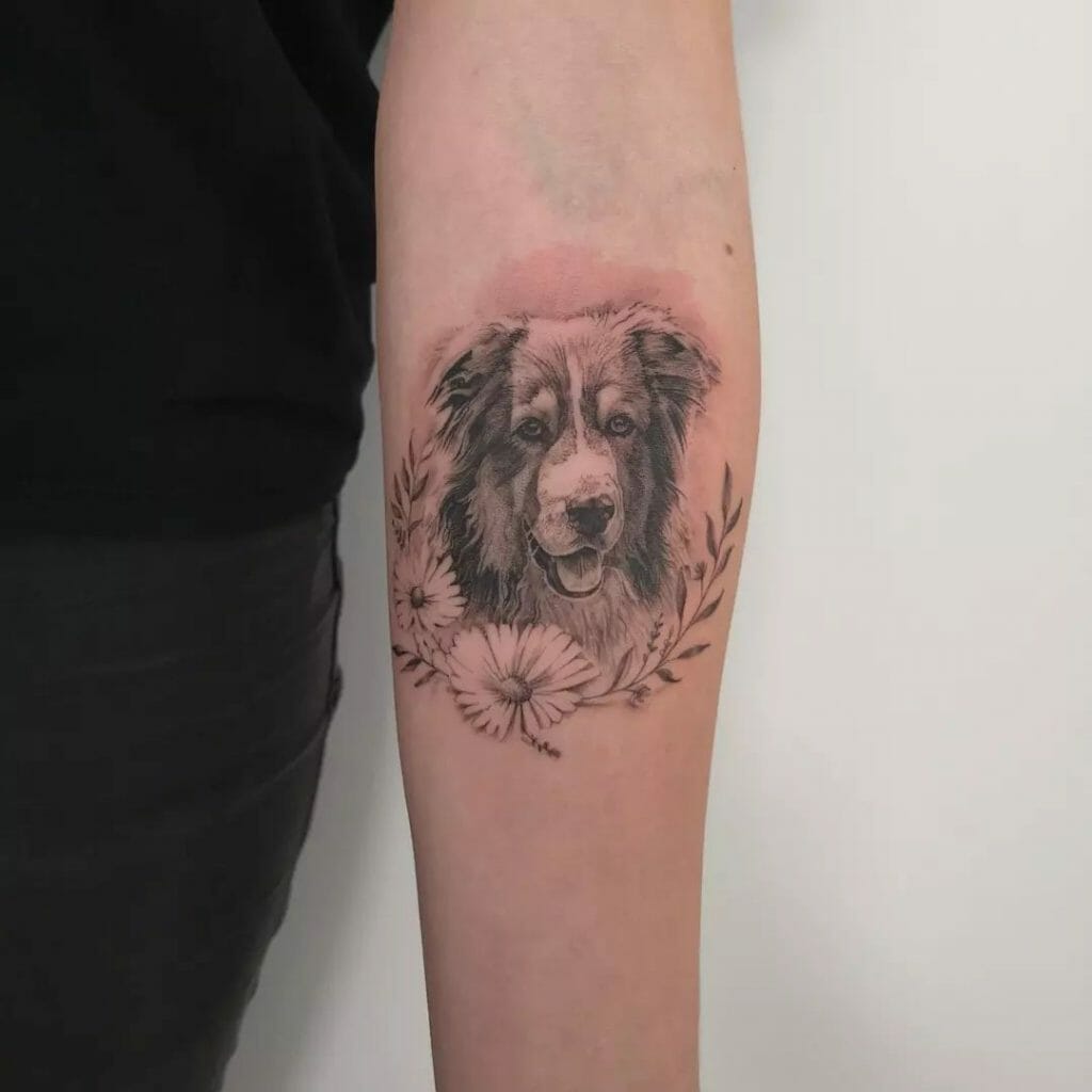 Australian Shepherd Tattoo