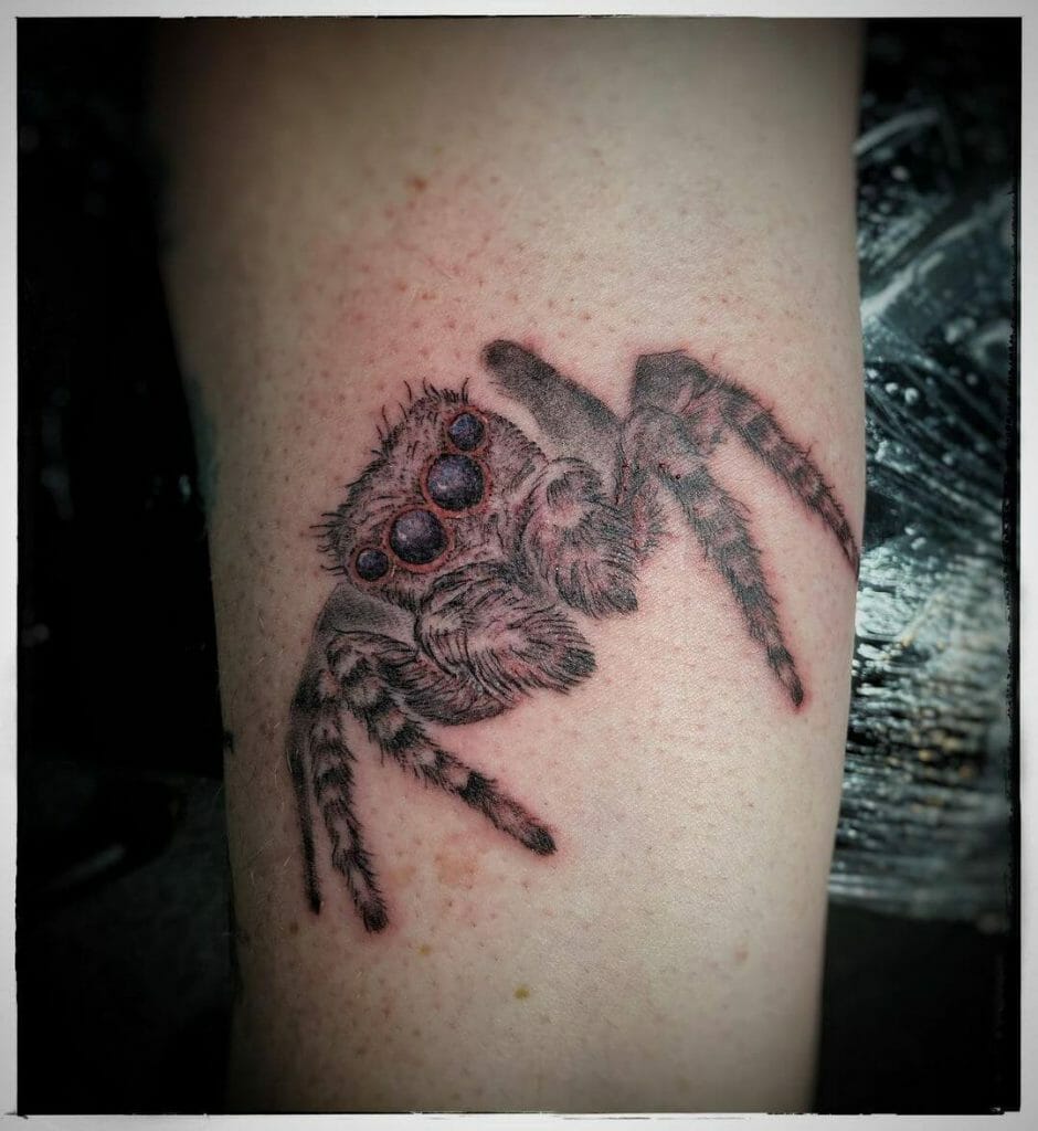 Brown Spider Tattoo