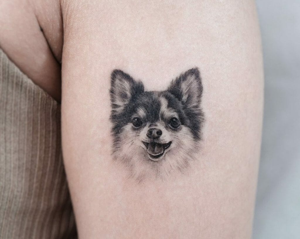 Chihuahua Tattoos
