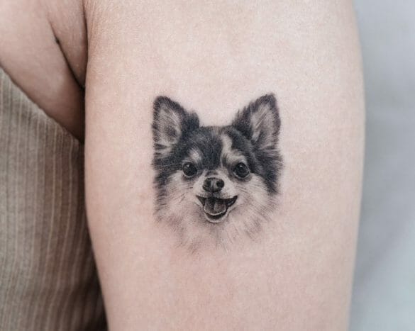 101 Best Chihuahua Tattoo Ideas That Will Blow Your Mind!