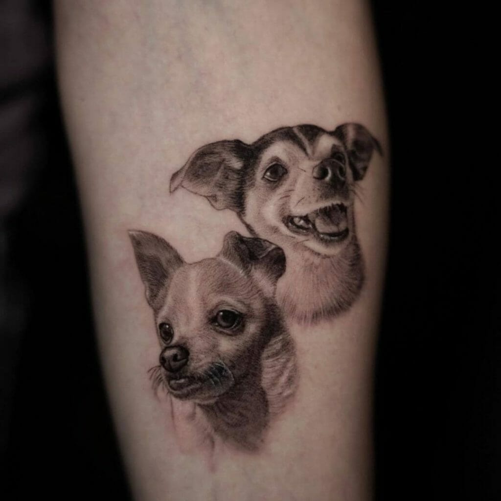 Realistic Chihuahua Tattoos