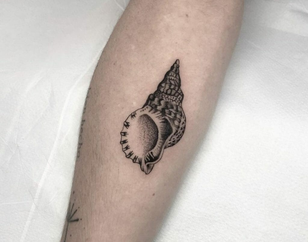 Snail Tattoos