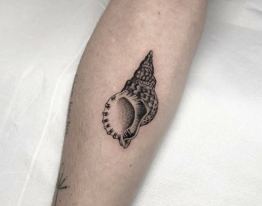 121 Likes, 4 Comments - Agny • Fran 🐠 (@agnytattoo) on Instagram:  “Caracolito!!! 🐌💖 #snailtattoo #linetattoo #blackwork #t… | Snail tattoo,  Line tattoos, Tattoos
