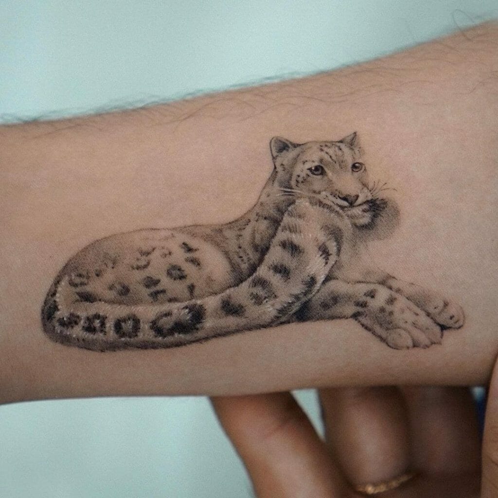 Snow Leopard Biting Own Tail Tattoo