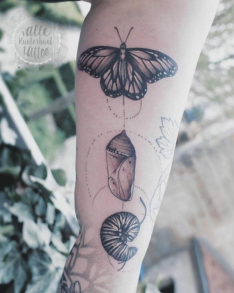 Tattoo Of Monarch Butterfly Metamorphosis