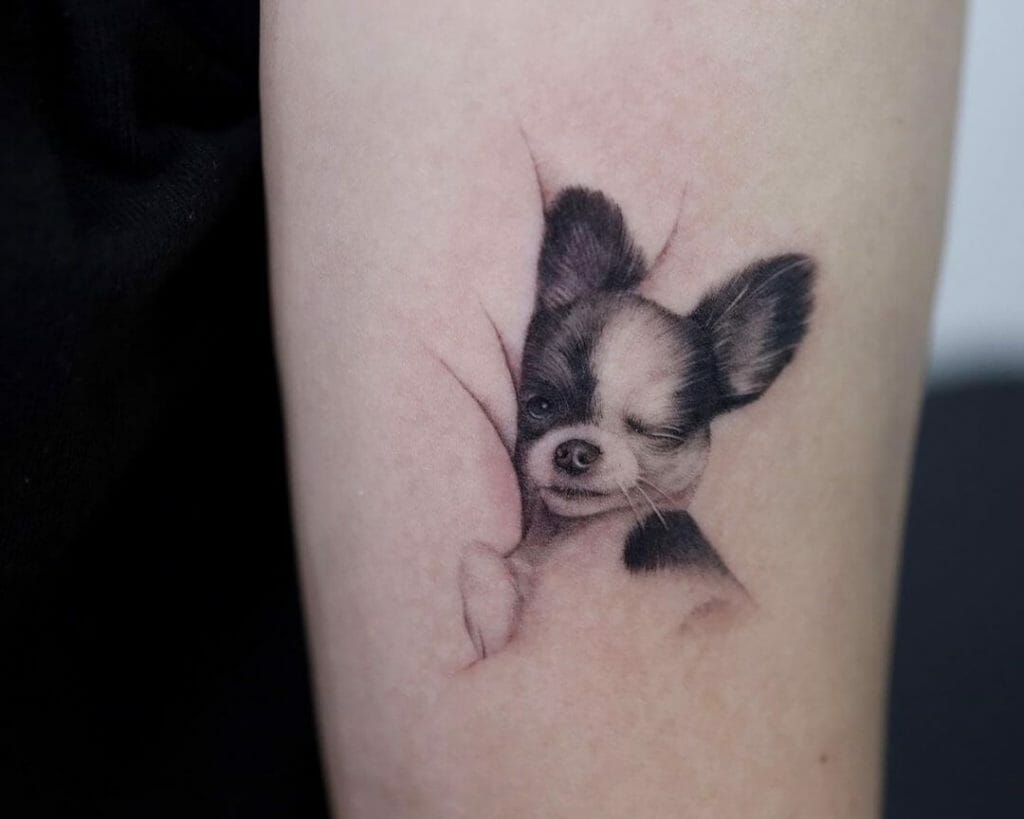 Winking Chihuahua Tattoos