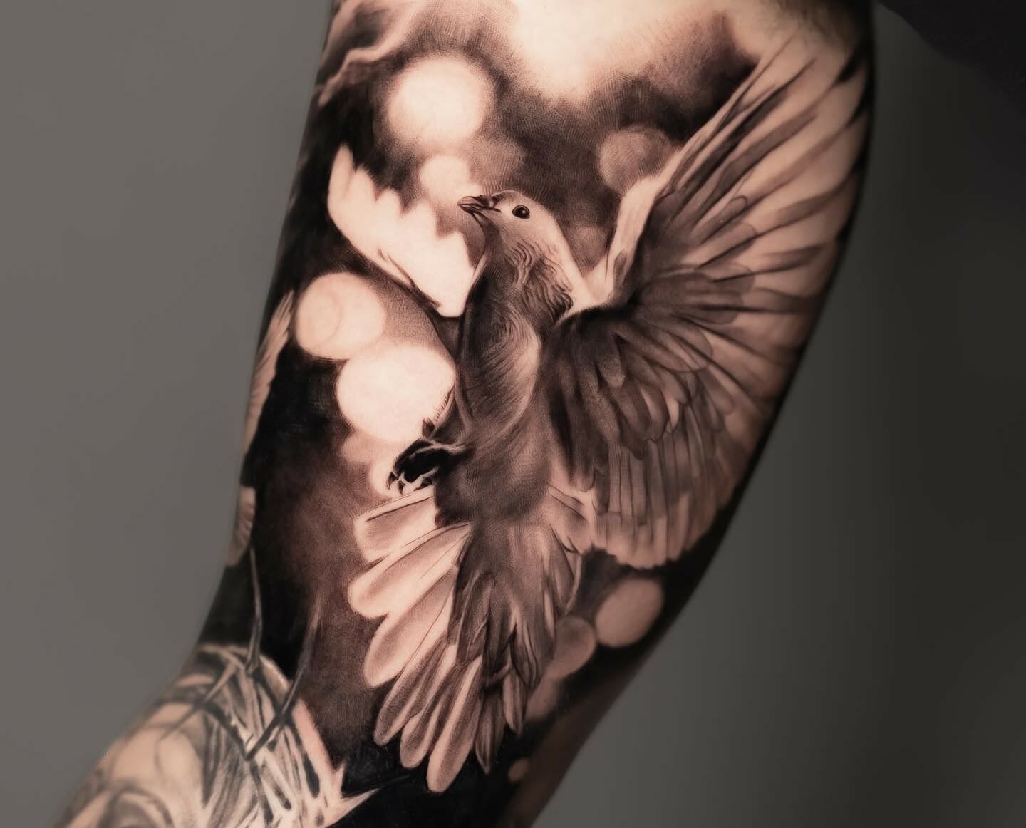 Share more than 72 mourning dove tattoo best  incdgdbentre