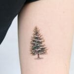 Best Small Pine Tree Tattoo
