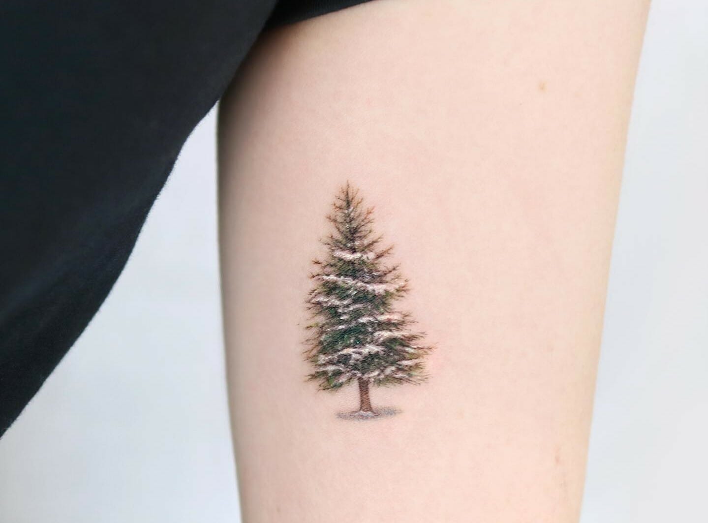 Small Pine Tree 2Week Temporary Tattoo  Set of 2  Tatteco
