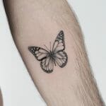 Best Solid Black Butterfly Tattoo