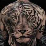 Best Tiger and Lion Tattoo