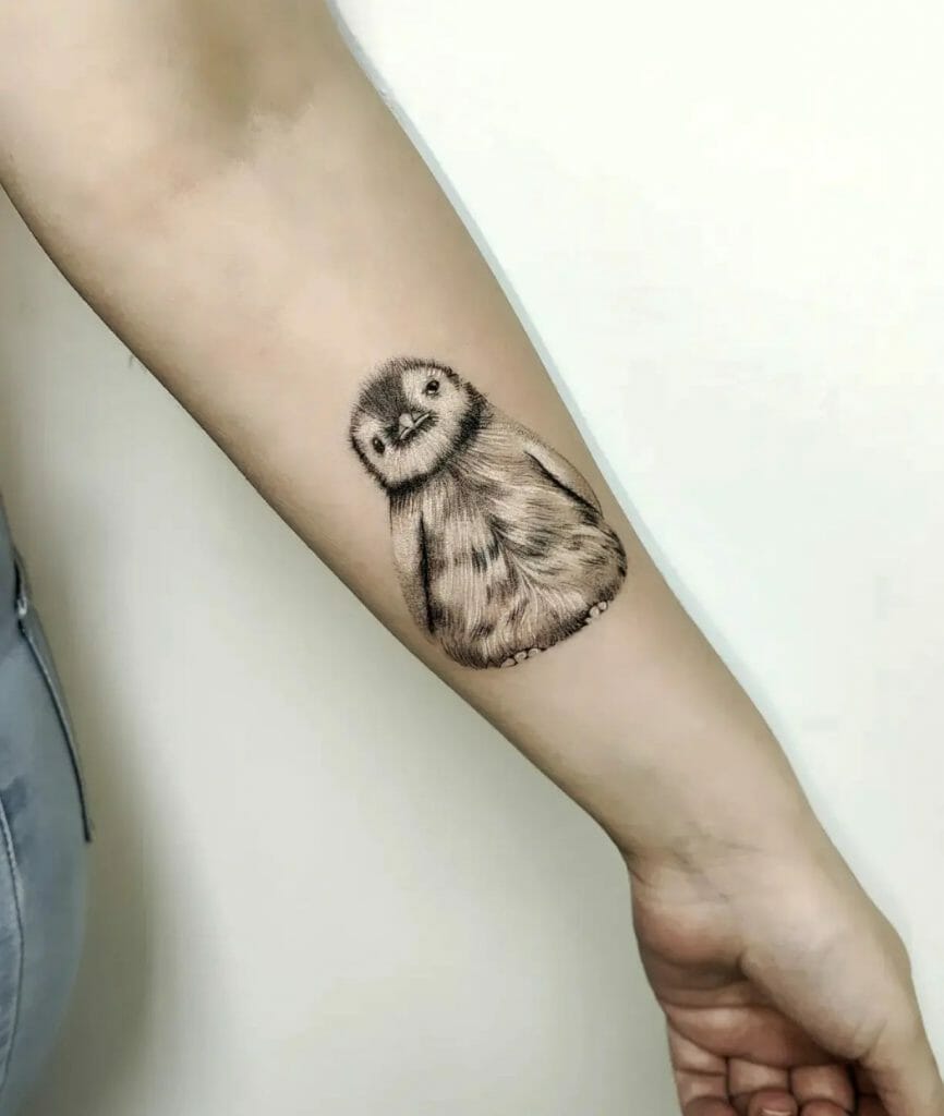 Realistic Penguin Tattoos