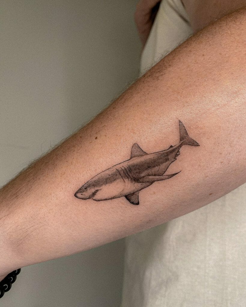Shark Tattoo Filler