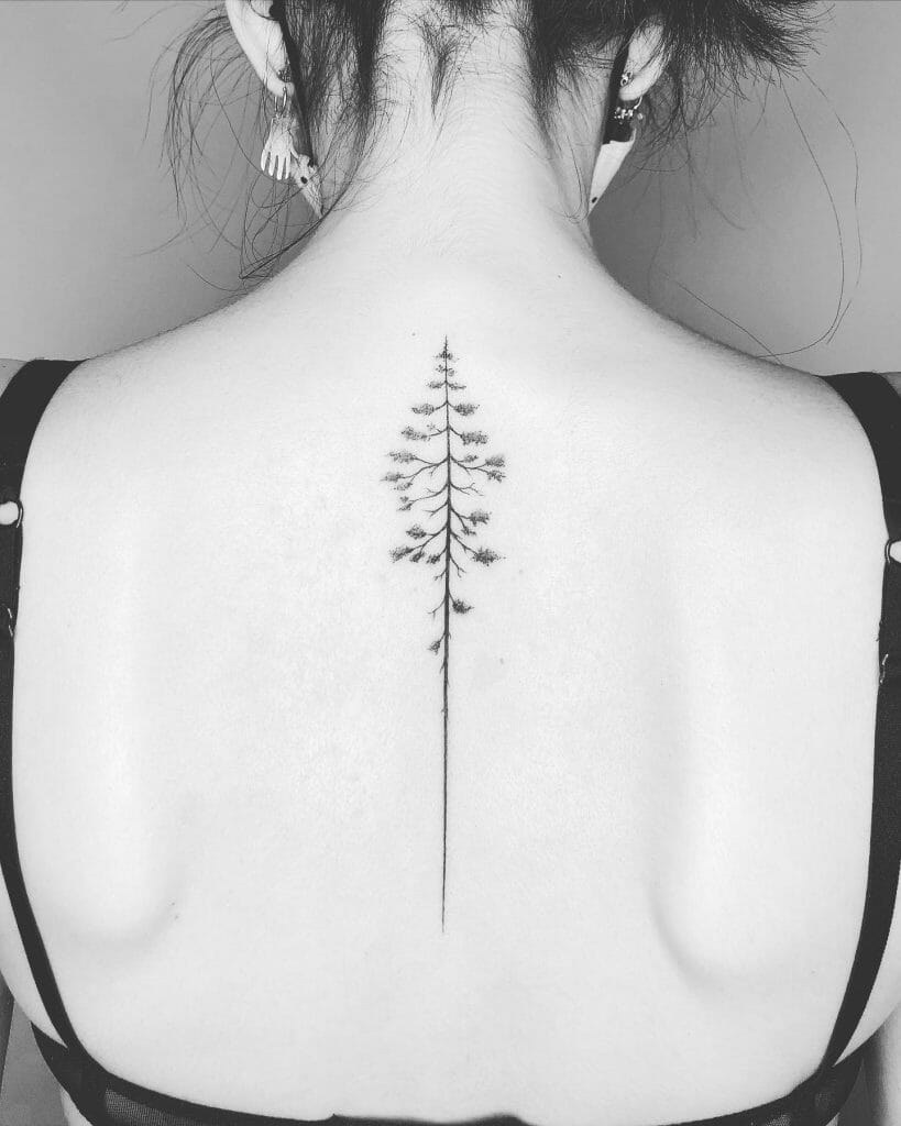 Spine Pine Tree Tattoo