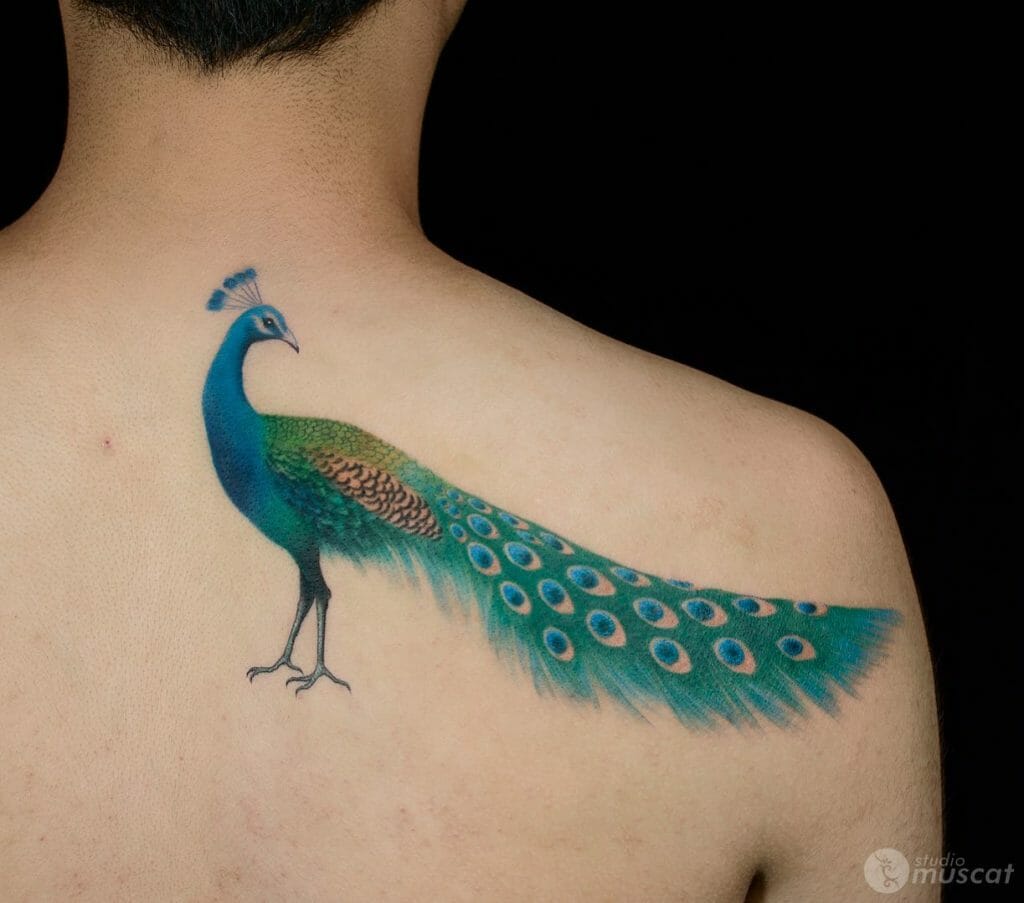 Vibrant Peacock Tattoo On The Back